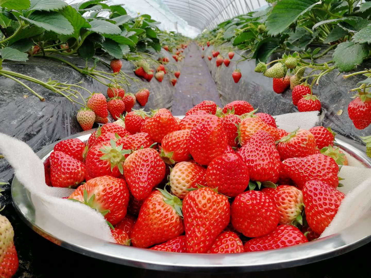 ʹݮֵcıǈԶƵĘ˜ʻ
