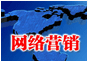 網絡營銷 網絡營銷